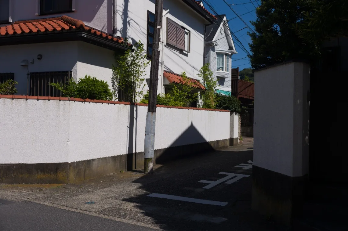 L1006566.jpg