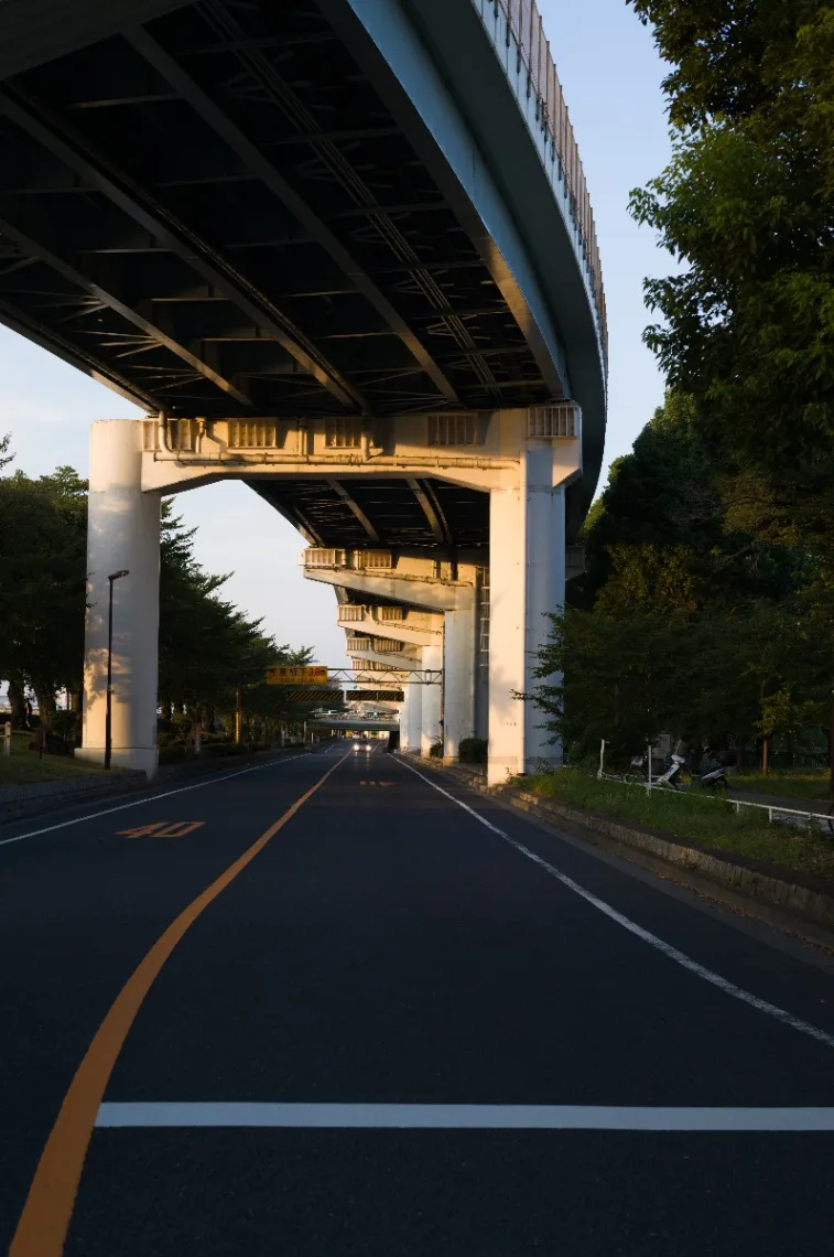 L1007075.jpg