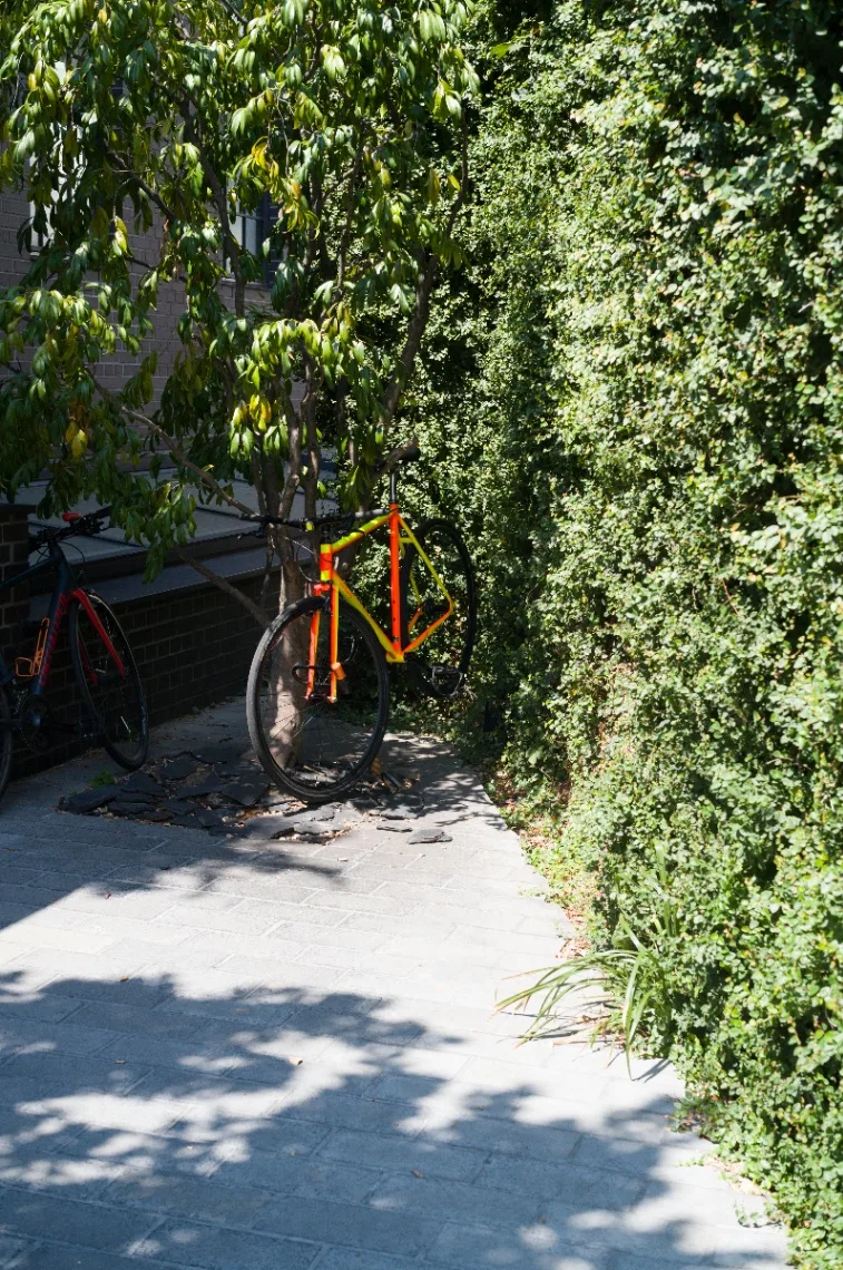 L1007151.jpg