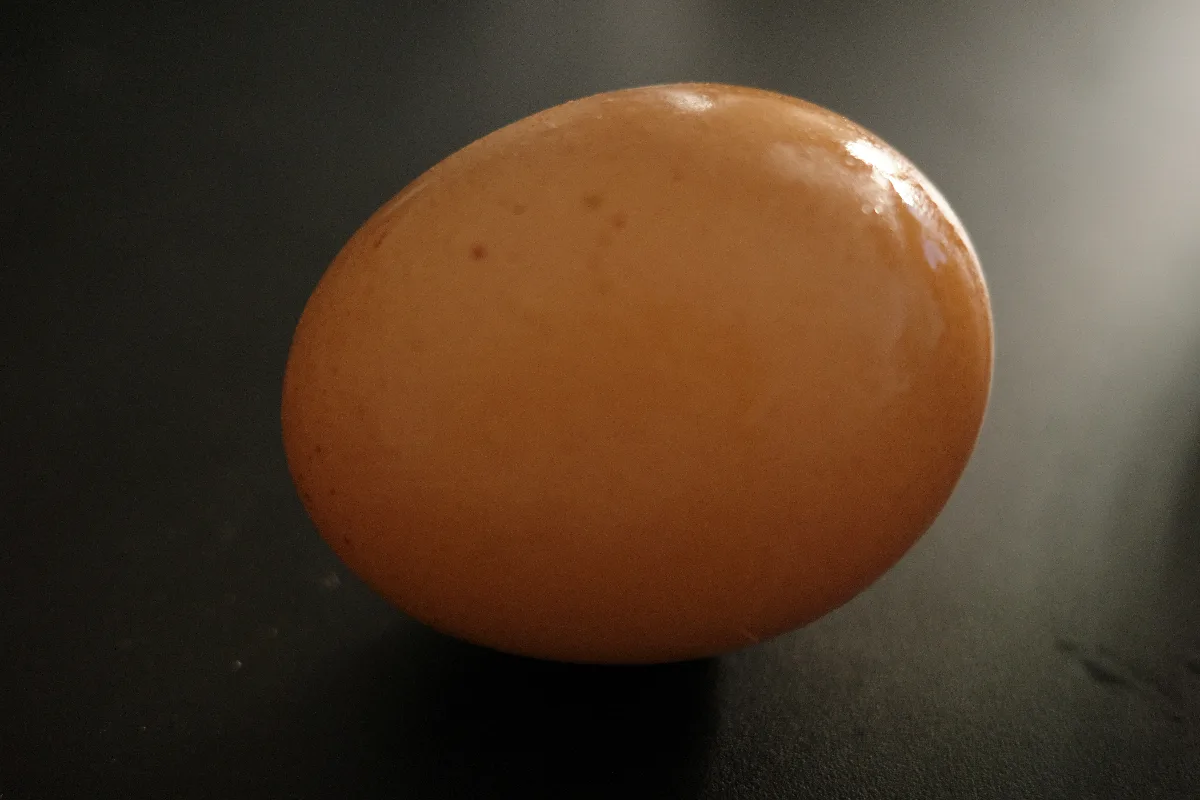 R0001354.jpg