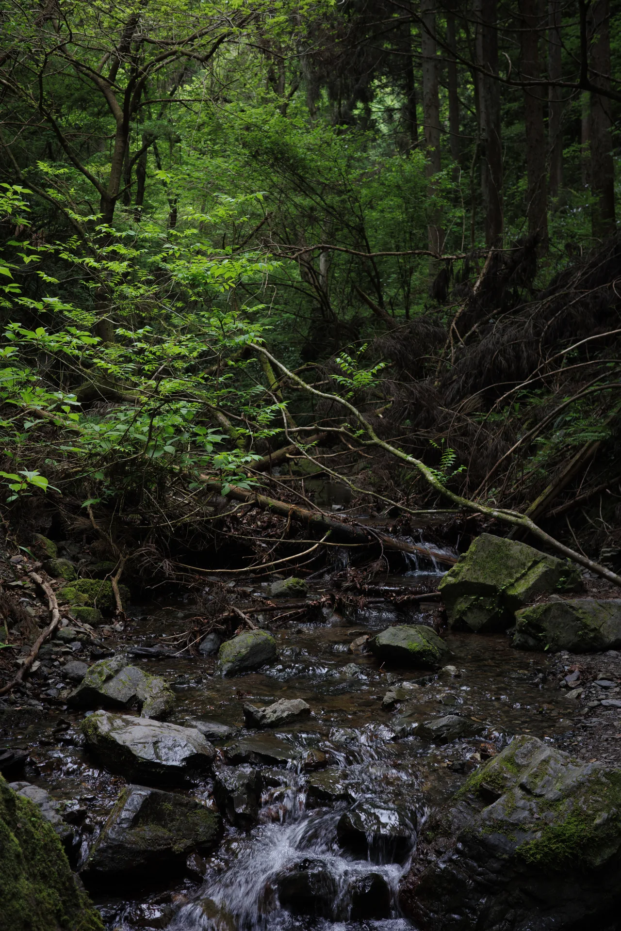 R0001938.jpg