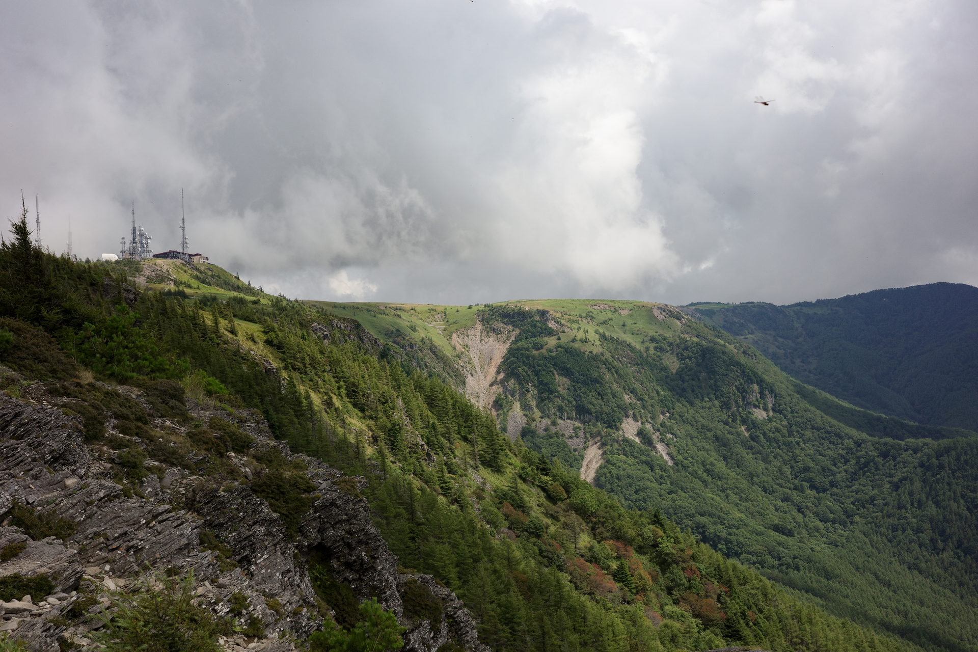 R0001988.webp