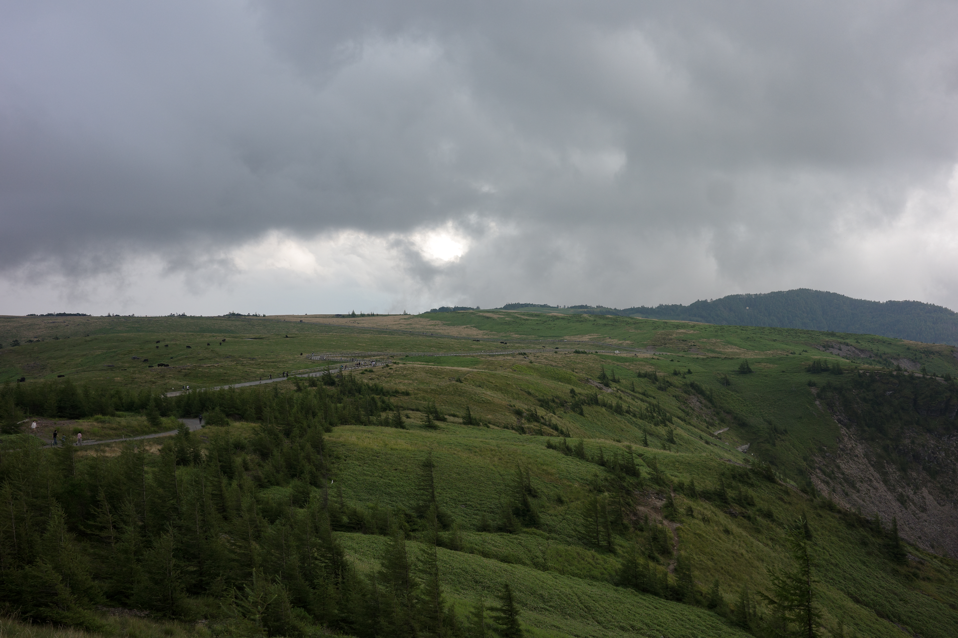 R0002000.webp