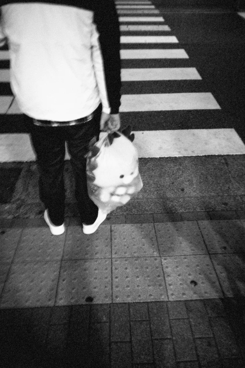 original_46e05bec-3d17-4e51-8b18-bb50cf346d9f_2024-12-29-flashbackmono-18.jpg